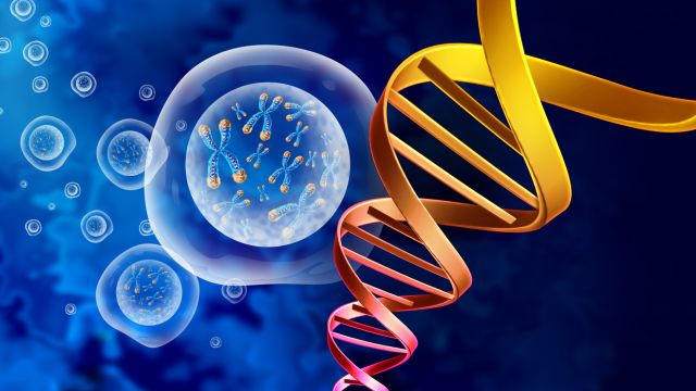 Более 400 генов связаны с более быстрым старением