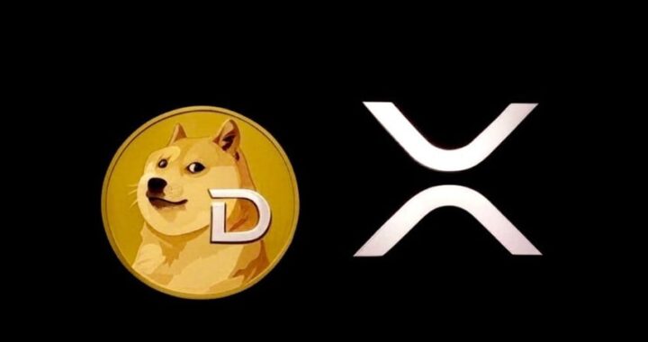 Исторический дебют: ETF на XRP и Dogecoin показали объемы заявок на записи