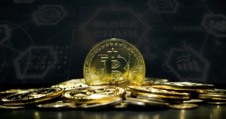 Ключевые тенденции движущиеся крипторические — бикантные исследования