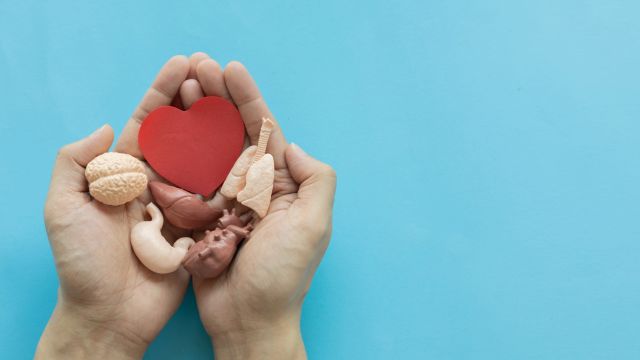 ММА отметит Европейский день донорства