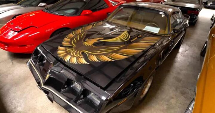 Может ли человек владеть 1300 автомобилями?