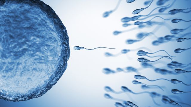 Хронические воспалительные заболевания и их влияние на мужскую фертильность