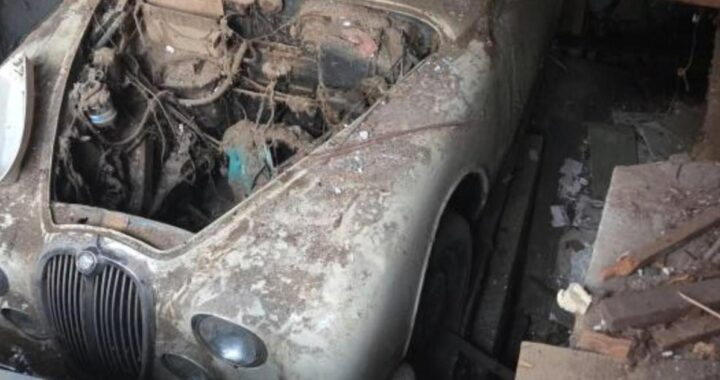 Заброшенный ягуар был найден под полу магазина в Бельгии