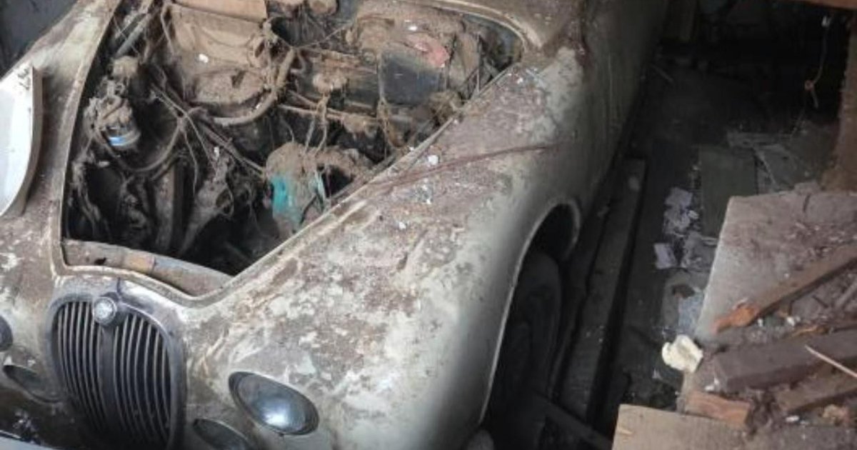 Заброшенный ягуар был найден под полу магазина в Бельгии