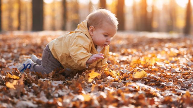Как одеть малыша в дождливые осенние дни?