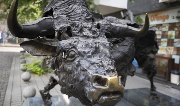 Яни Драгов, «Смарт Органик»: Мы поощряем команду акциями, но ценности важнее