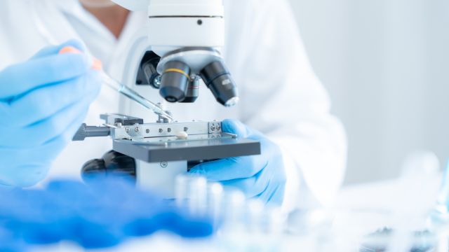 Ученые определили новый класс препаратов против старения: будем ли мы дольше оставаться моложе?