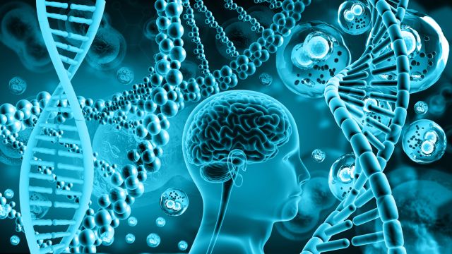 Митохондриальные энцефаломиопатии – связь между митохондриальной ДНК и неврологическими нарушениями