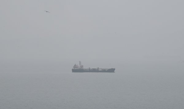 Экспорт российской нефти приблизился к 17-месячному пику из-за забастовок на нефтеперерабатывающих заводах