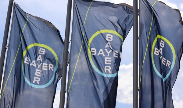 Онкологические заболевания и ожирение сегодня являются актуальными темами для фармации