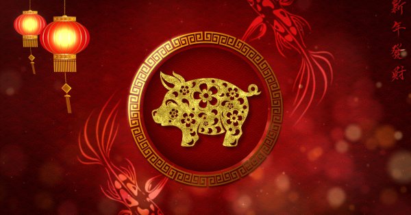 Чего ожидать от ноября по китайскому зодиаку