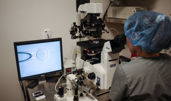 Затраты на ЭКО в США падают – Трамп заключил сделку с немецкой Merck