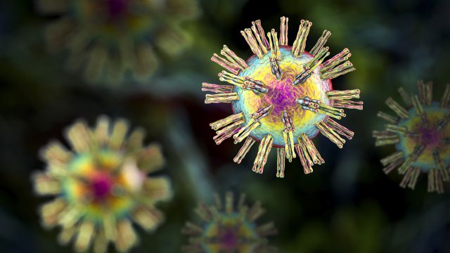 Новое лечение превращает клетку в ловушку для простого герпеса