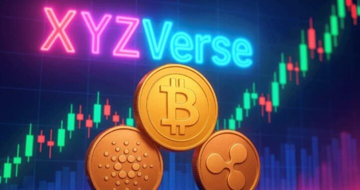 Xyzverse привлекает внимание инвесторов — Минфин