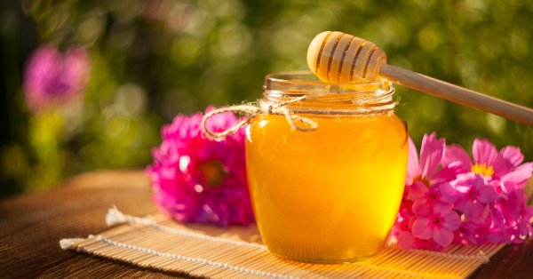 Тепло и уют в зимнюю пору — Как правильно употреблять мед
