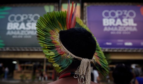 В Бразилии не произошло большого провала климатической политики