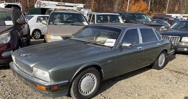 Тайна с десятками автомобилей, оставленных на парковке аэропорта