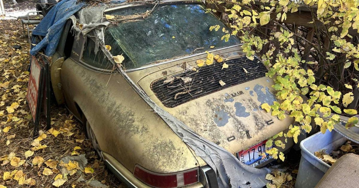 Porsche 911 targa провел 31 год под сосновыми шишками