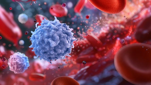 Функции лимфоцитов и нормальные значения