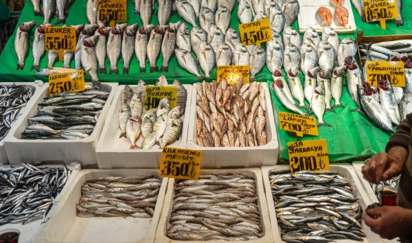 Турки часами едут в Грецию, чтобы купить сыр и избежать инфляции