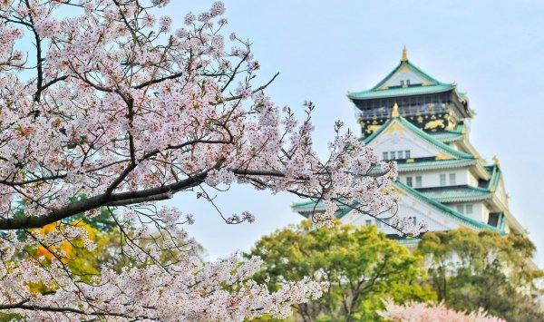 Превратит ли ИИ «незаменимые сокровища» Японии в кашу ИИ?