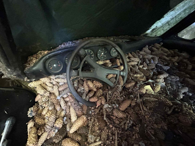 Порше 911 тарга