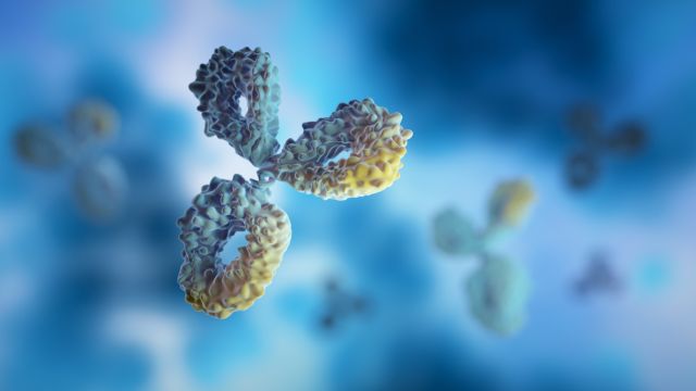 Искусственный интеллект ускоряет создание синтетических антител