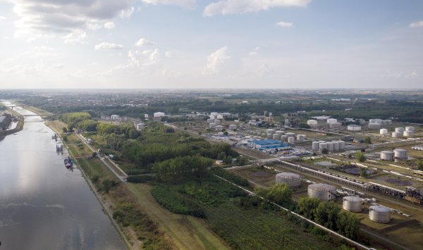 Сербия готова заплатить слишком много, чтобы купить "Газпром" у NIS, заявил Вучич