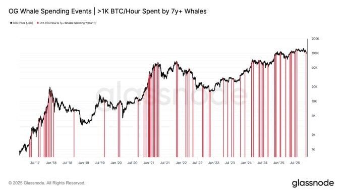 стоит ли нам готовиться к криптозиме?
