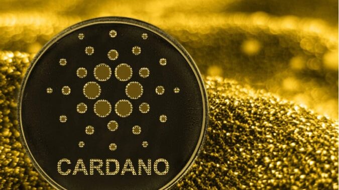 Владелец Cardano потерял $6 млн за 30 секунд — Минфин