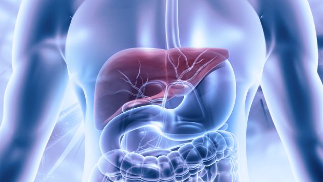 Внутрипеченочная гиперплазия желчных путей – что это такое и при каких заболеваниях встречается?