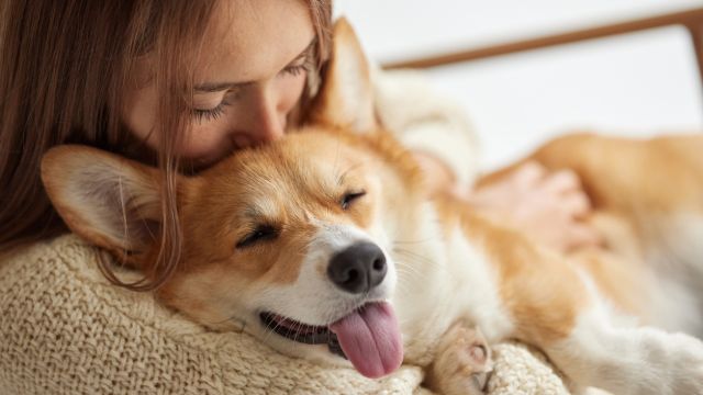 Может ли у нашей собаки развиться слабоумие?!