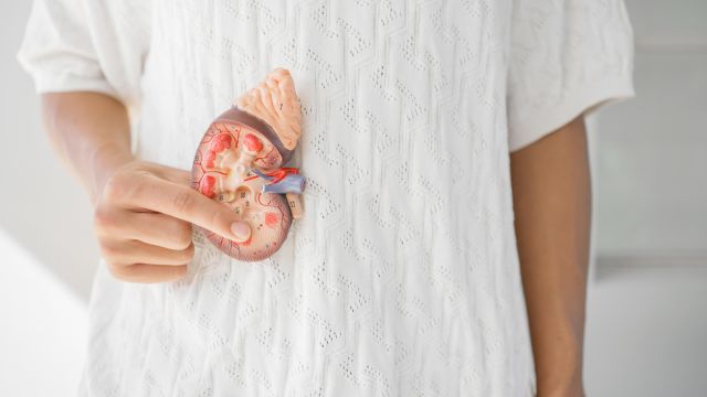 Двое мужчин получили шанс на «новые» почки в Александровске