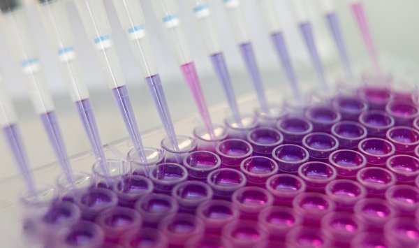 Лидеру биотехнологий Европы грозит решающий год после роста на 1300%