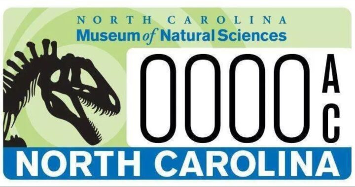 В США выпустили номерные знаки с… динозавром