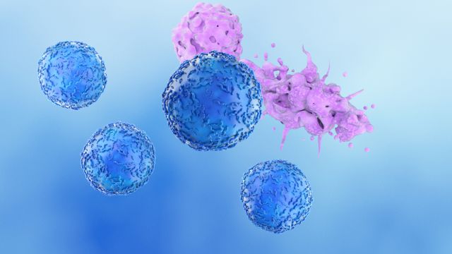 Генно-отредактированные иммунные клетки дают новую надежду на лечение острого Т-клеточного лимфобластного лейкоза