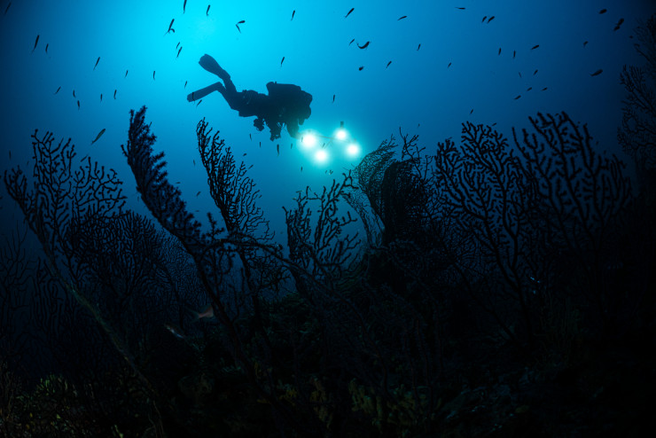 Хороший климат