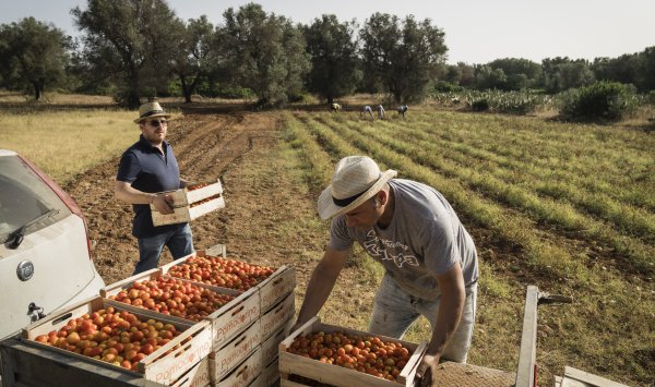 Италия планирует поддержать МЕРКОСУР, открывая путь к торговому соглашению с ЕС