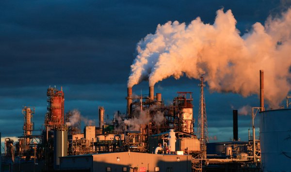 На Уолл-стрит нет единого мнения относительно наиболее прибыльного сектора рынка.