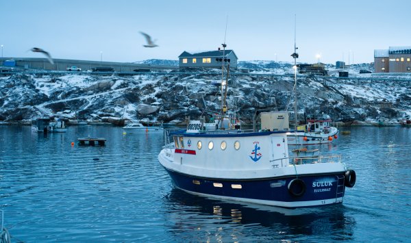 Угрозы Гренландии подрывают усилия США по сдерживанию Китая