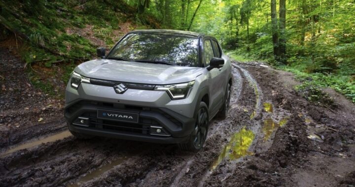 Может ли Индия стать новым Китаем для европейских производителей?