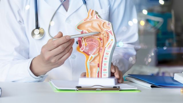 УМБАЛ «Святой Георгий» — Пловдив объявил бесплатные обследования на онкологические заболевания в ЛОР-направлении