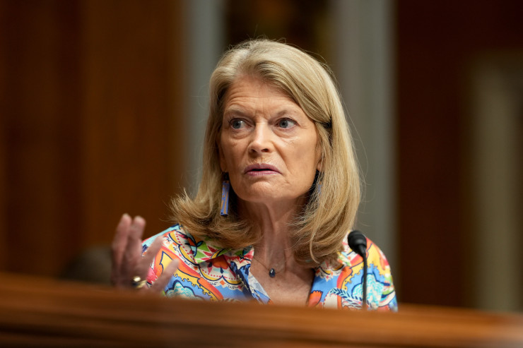 Сенатор Лиза