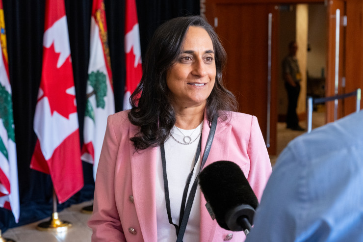 Анита Ананд