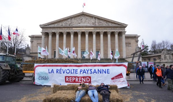 Еще до сделки с МЕРКОСУР болгарское зерно потеряло позиции на ключевых рынках