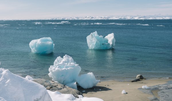 Когда тает лед: что полюса говорят нам о будущем Земли?