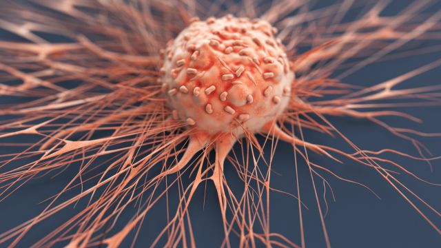 Как белок координирует выживание и метаболизм опухолевых клеток?