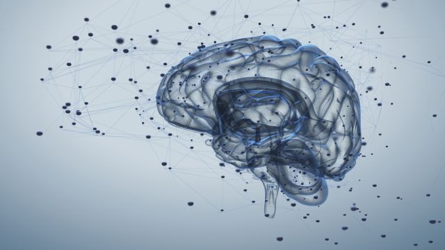 Изменения мозговых волн могут быть предупредительным признаком болезни Альцгеймера