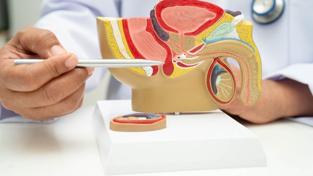 Бесплатные урологические обследования в УМБАЛ-Пловдив