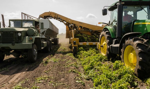 Климат уже меняет сельское хозяйство: нужны новые сорта и национальная стратегия
